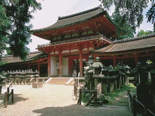 Nara Afternoon Tour to Todaiji Temple and Kasuga Taisha Shrine from Osaka