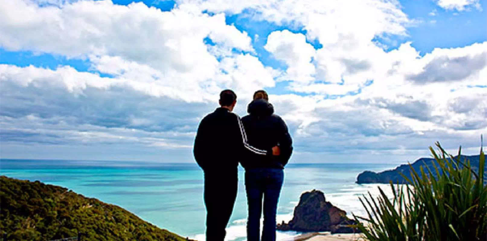 Waitakere Ranges Half Day Tour from Auckland