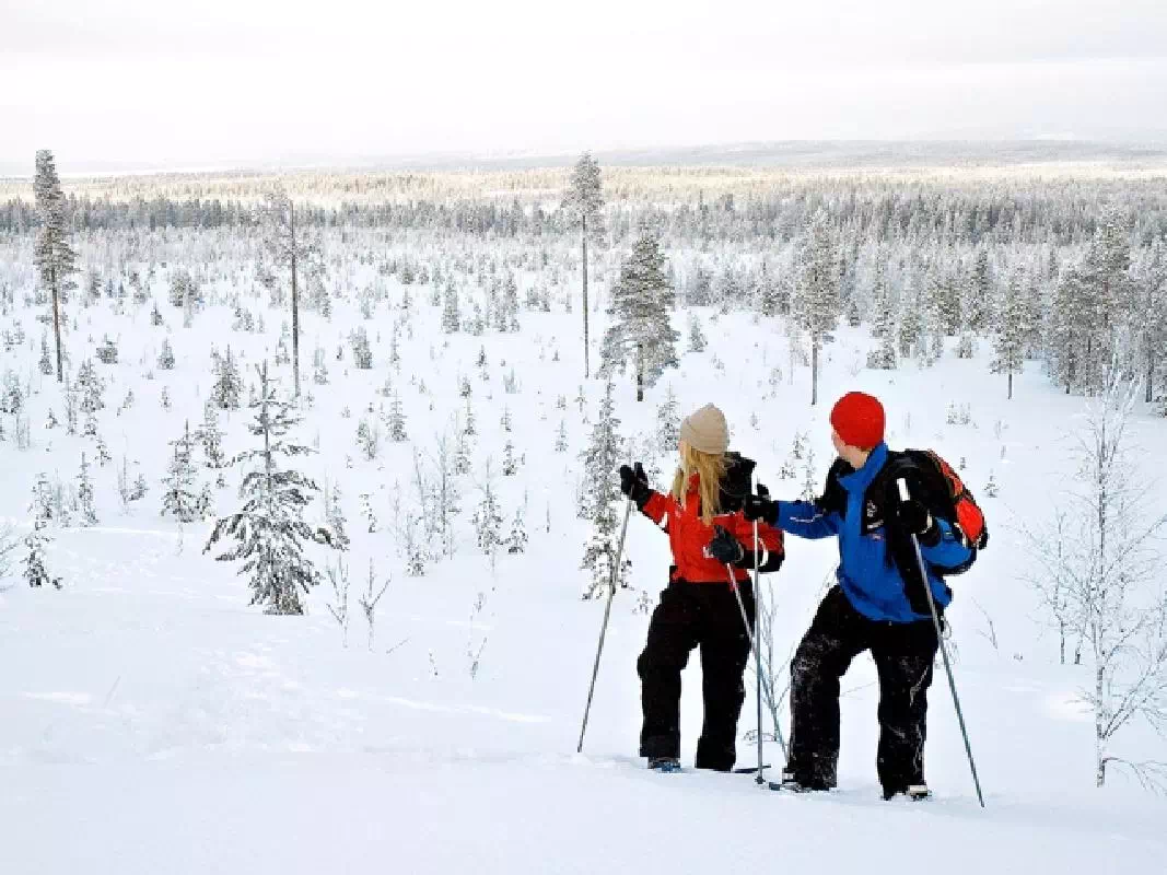 Cross Country Skiing Trip in Lapland from Roveniemi with Professional Guide