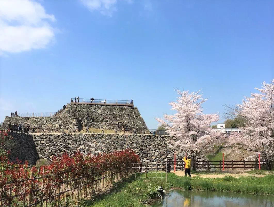 Yamato-Koriyama Castle Ruins and Goldfish Town Walking Tour in Nara