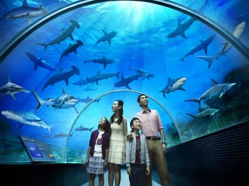 S.E.A. Aquarium™ Singapore Entry Ticket with Hotel Pick-up