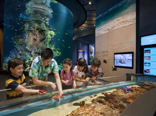 S.E.A. Aquarium™ Singapore Entry Ticket with Hotel Pick-up