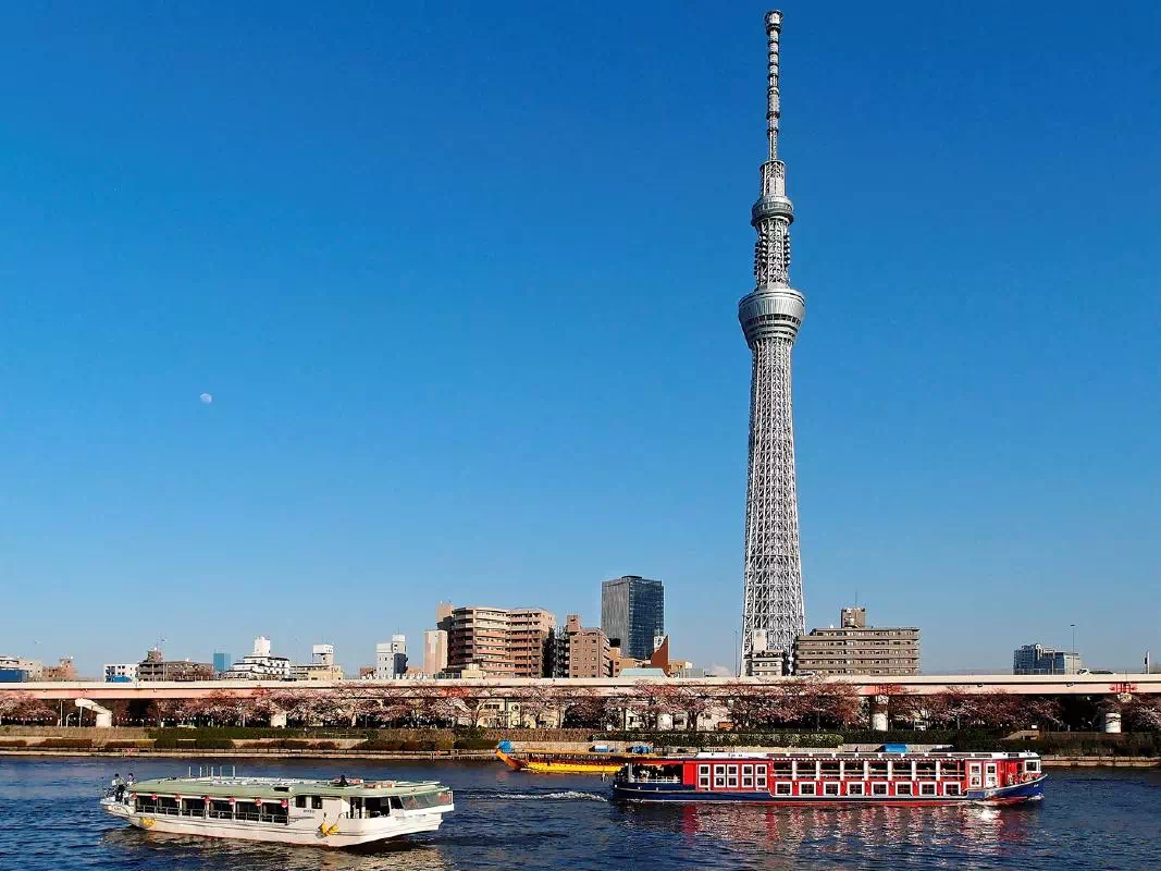 Tokyo 1-Day Bus Tour to Tokyo Tower & Meiji Shrine with Sumida River Cruise