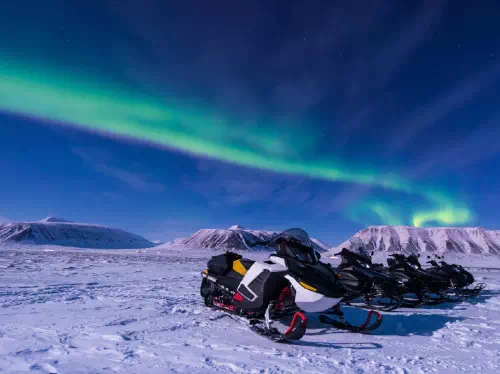 Finland Northern Lights Tour by Snowmobile from Rovaniemi