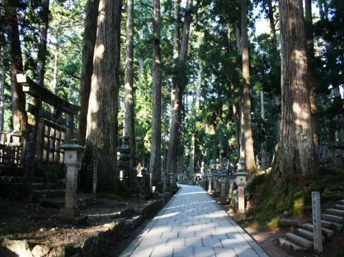 Mt. Koya Overnight Free-Plan Trip from Osaka with Temple Lodging Accommodation