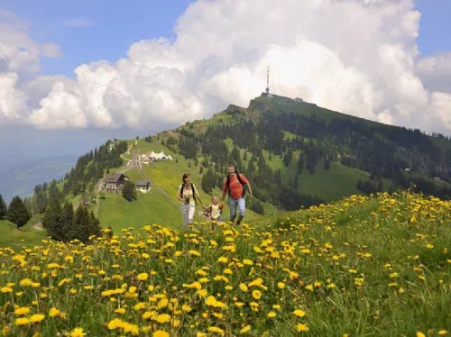 Mount Rigi Day Tour from Zurich with Cable Car Tickets and Boat Cruise