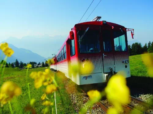 Mount Rigi Day Tour from Zurich with Cable Car Tickets and Boat Cruise