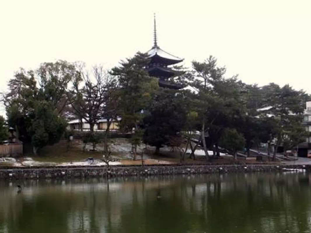7.5 Hour World Heritage Site and Horyuji Temple Sightseeing Taxi Tour in Nara