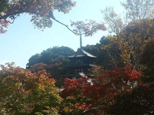 7.5 Hour World Heritage Site and Horyuji Temple Sightseeing Taxi Tour in Nara