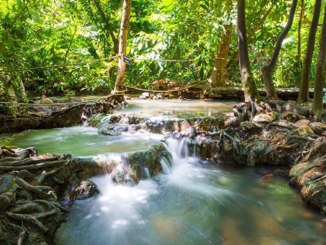Khlong Thom Hot Spring, Jungle and Temple Full Day Tour from Krabi