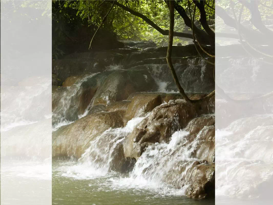 Khlong Thom Hot Spring, Jungle and Temple Full Day Tour from Krabi