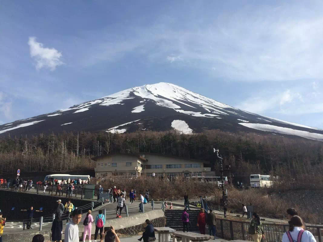 Private Mt. Fuji Tour from Tokyo or Yokohama with Hakone or Lake Kawaguchi