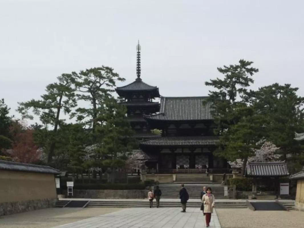 Morning Heijokyu Castle Ruins and World Heritage Sites by Taxi in Nara