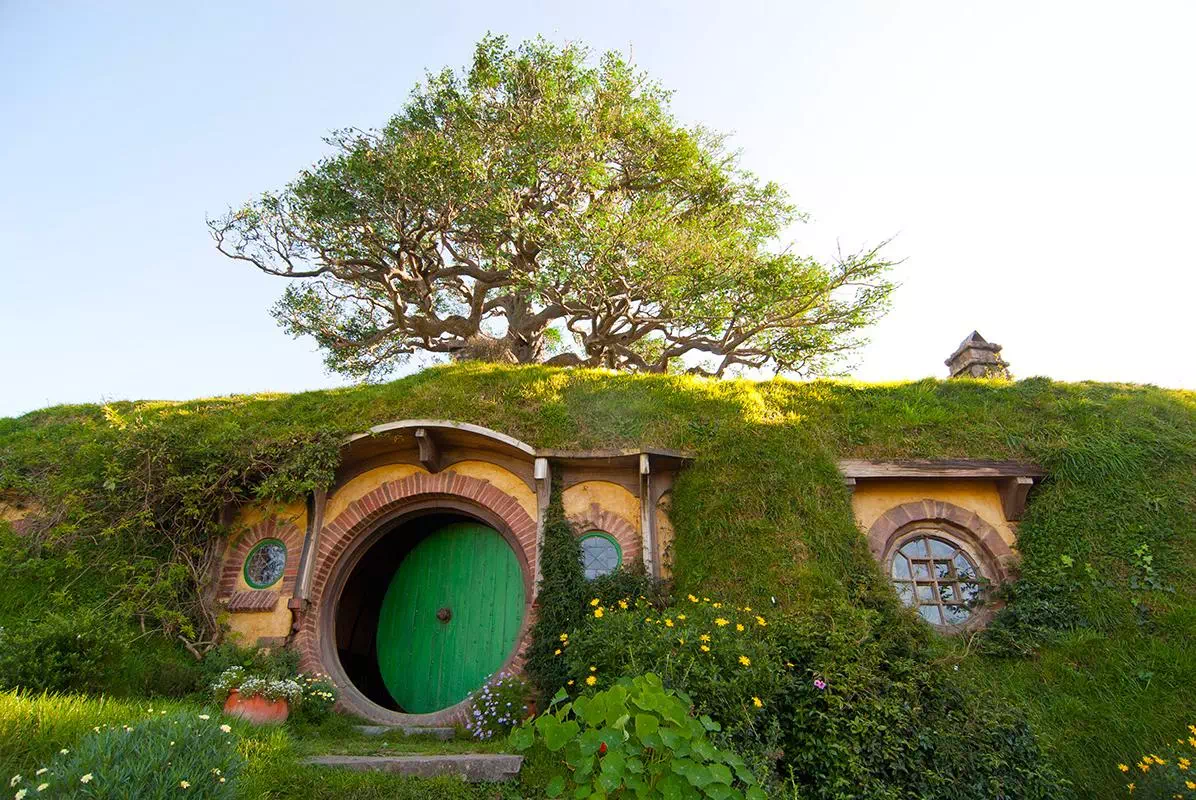 Express Hobbiton Day Tour from Auckland with Rotorua Drop-off Option