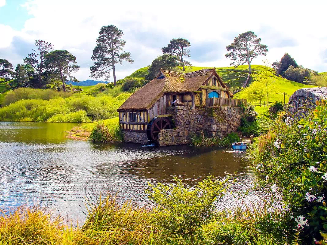 Express Hobbiton Day Tour from Auckland with Rotorua Drop-off Option