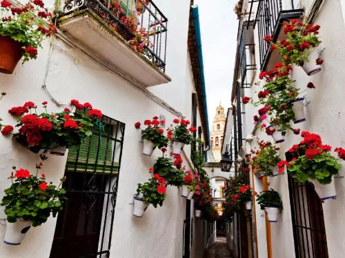 Cordoba Full Day Tour from Seville with Mosque-Cathedral and Alcazar Visit
