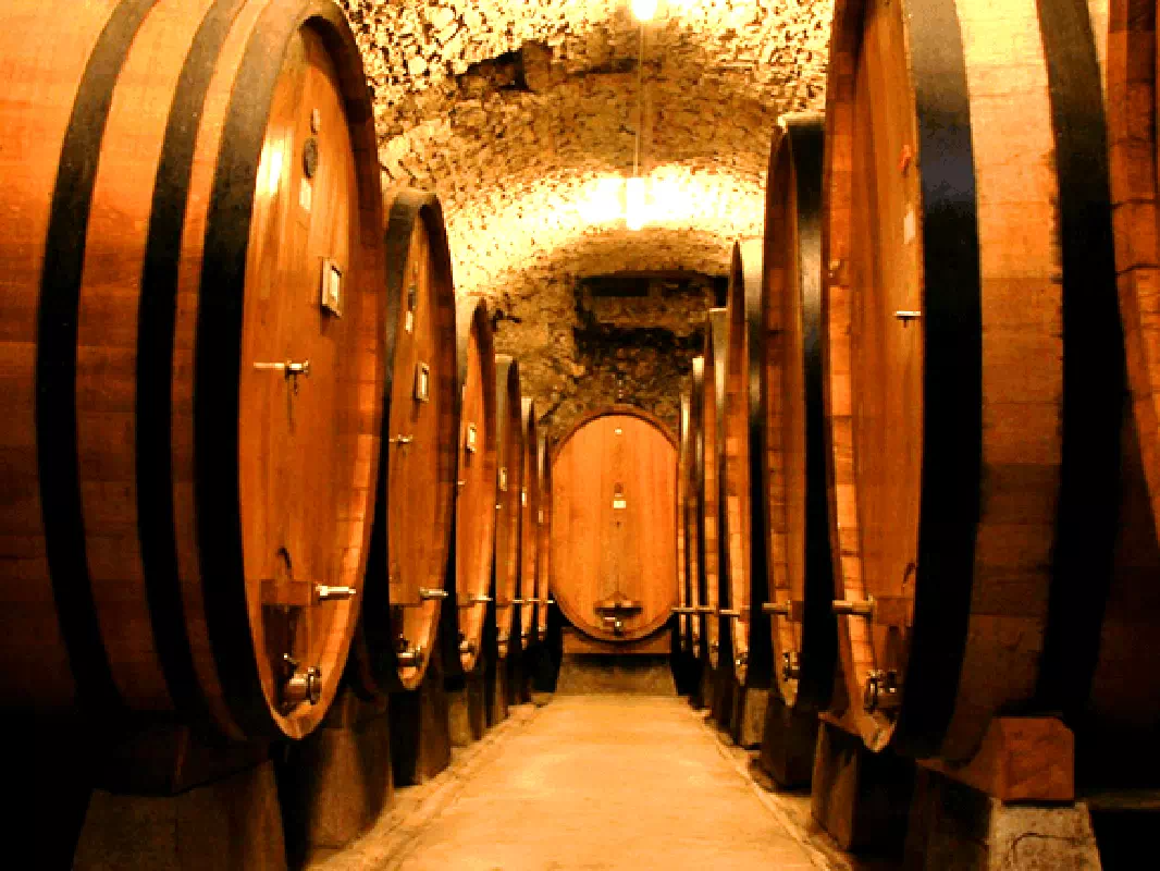 Brunello di Montalcino Small Group Tour from Siena with Wine Tasting