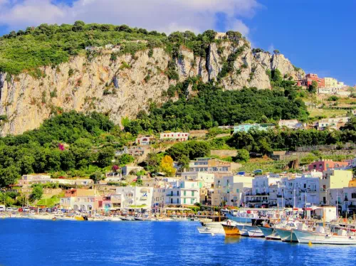 Capri from Naples by Hydrofoil Day Trip with Free Time in Anacapri and Lunch