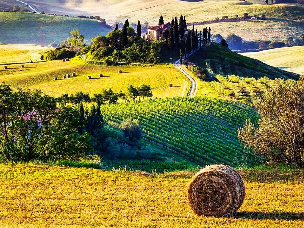 Montalcino, Pienza and Montepulciano Full Day Tour from Siena with Wine Tasting