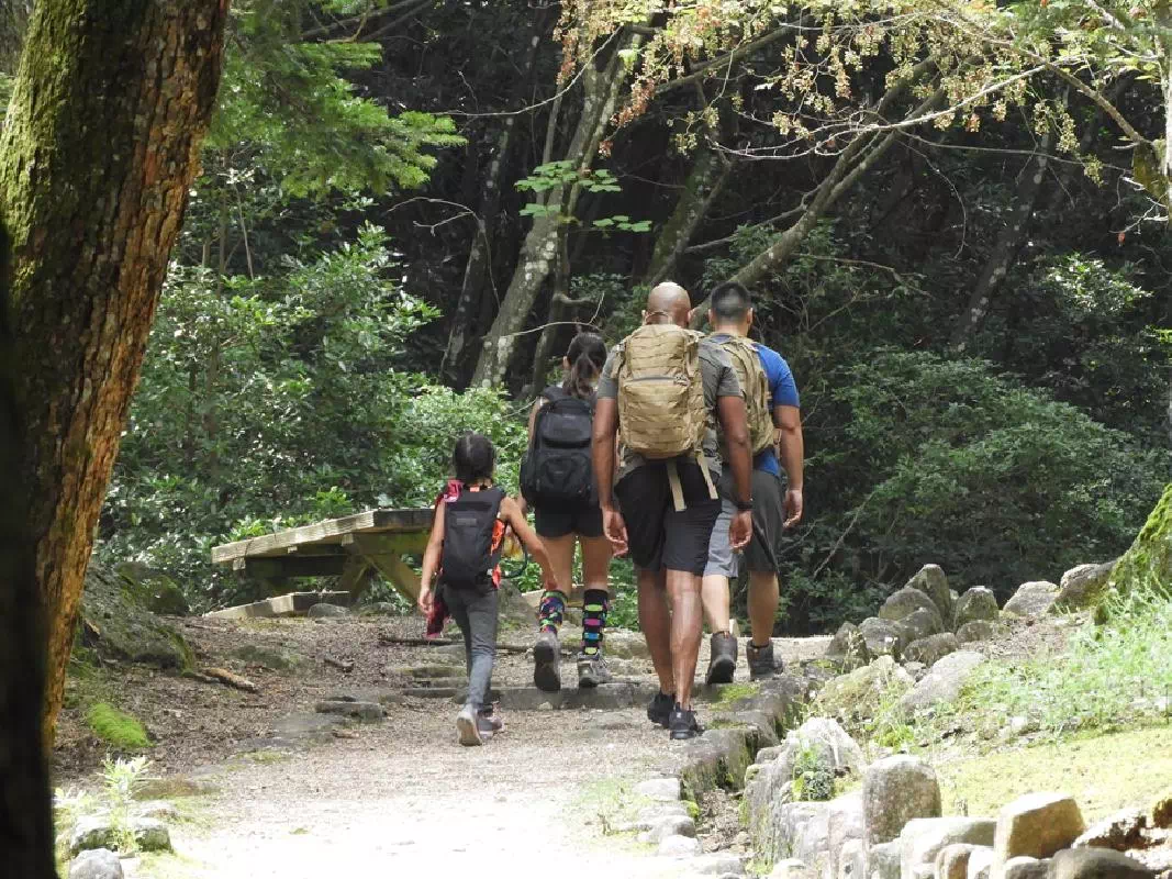 Miyajima Mount Misen Hiking Tour with English-Speaking Guide