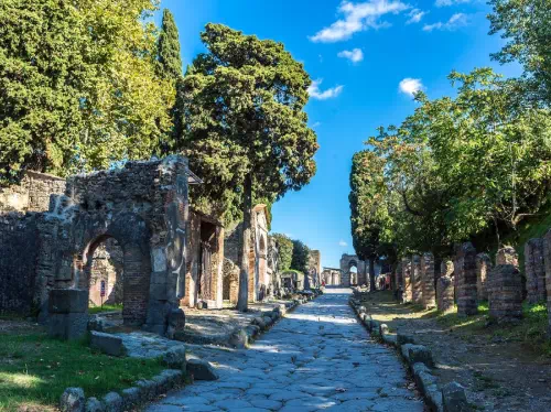 Pompeii Ruins Half-Day Tour from Naples