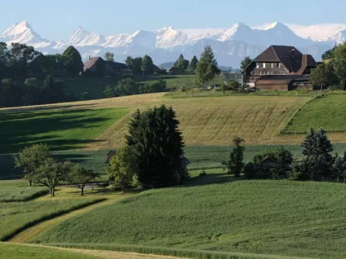 Bern Full-Day Tour From Zurich With Cheese and Kambly Biscuits Tasting