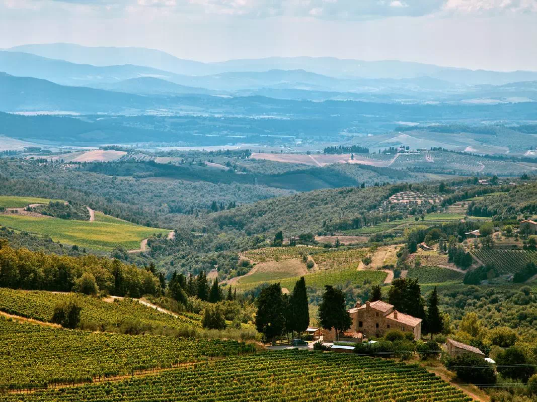 Chianti Wine Tour from Florence with Olive Oil Tasting
