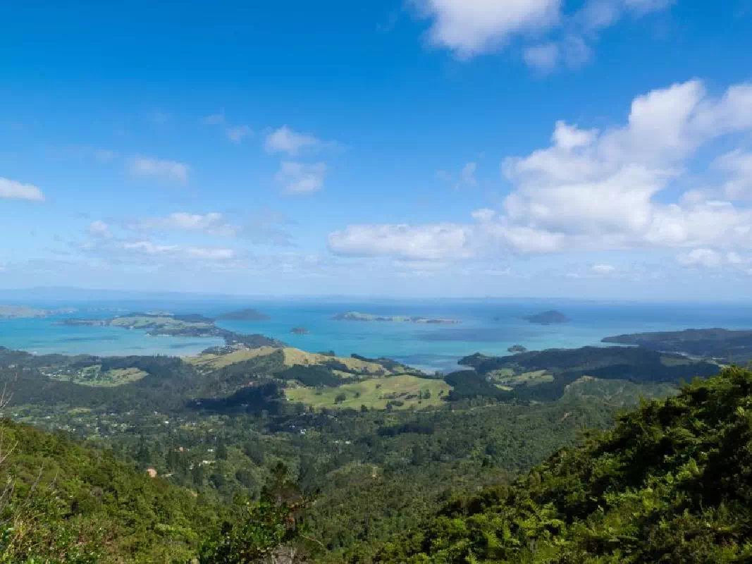 Full Day Coromandel Peninsula Tour from Auckland with Railway Train Ride