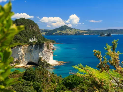 Full Day Coromandel Peninsula Tour from Auckland with Railway Train Ride