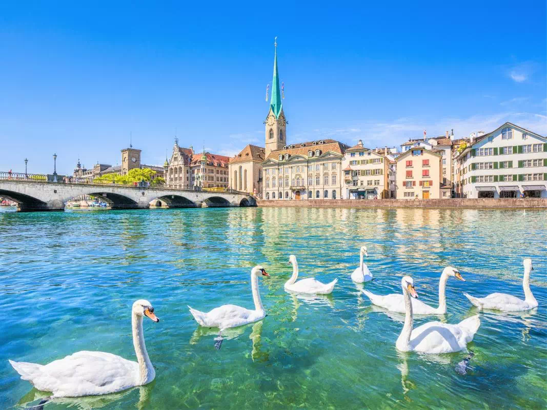 Lucerne One Day Tour from Zurich with Yacht Cruise on Lake Lucerne 