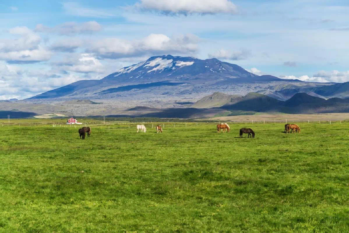Iceland South Coast Full-Day Tour from Reykjavik with Multilingual Audio Guide