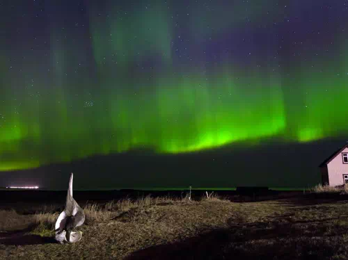 Northern Lights Iceland Tour from Reykjavik with Multilingual Audio Guide