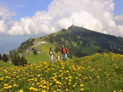 Private Mount Rigi Day Tour from Zurich with Cable Car and Boat Cruise Tickets