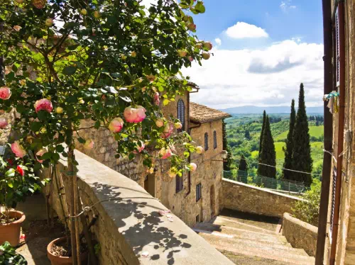 Tuscany Day Trip from Florence with Pisa, Siena, San Gimignano, Chianti Wine