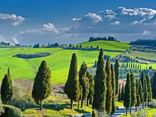 Tuscany Day Trip from Florence with Pisa, Siena, San Gimignano, Chianti Wine