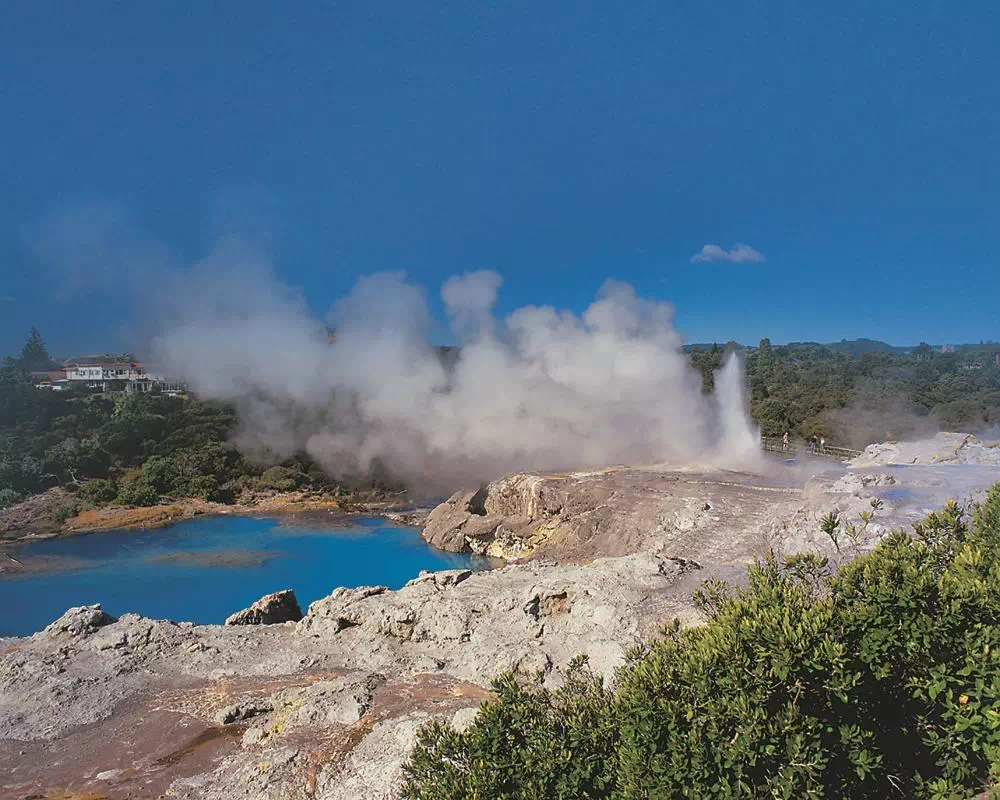 Waitomo and Rotorua Tour with Glowworm Cave and Te Puia Visit from Auckland