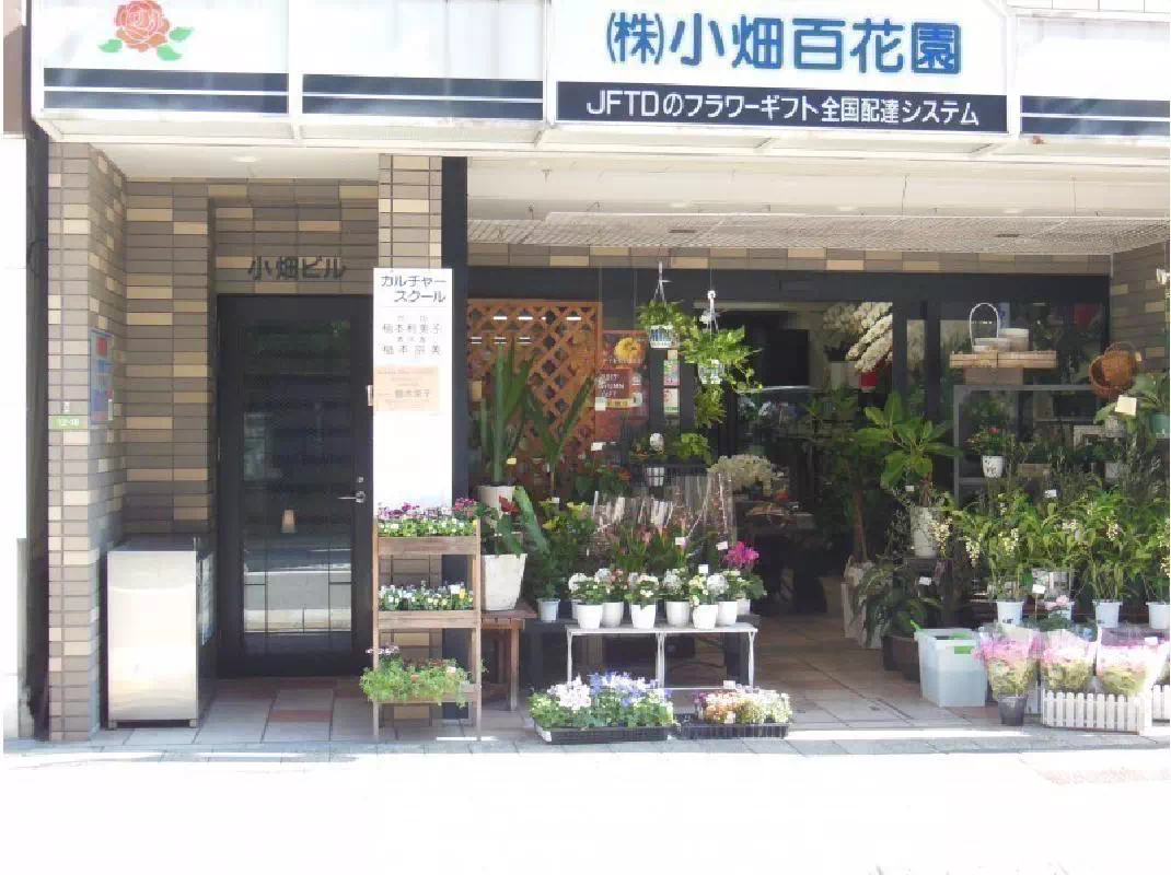 Miniature Bonsai Gardening Experience in Hiroshima