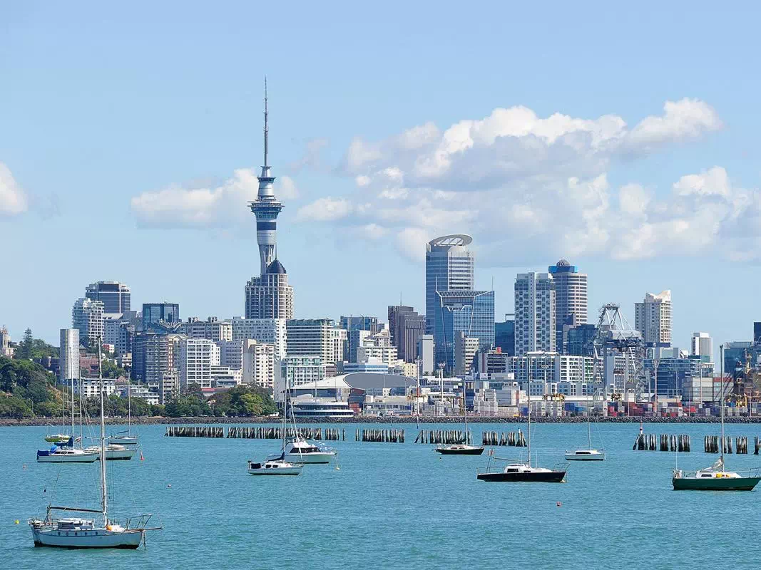 Auckland City Highlights Half Day Tour with Optional SEA LIFE Aquarium Ticket