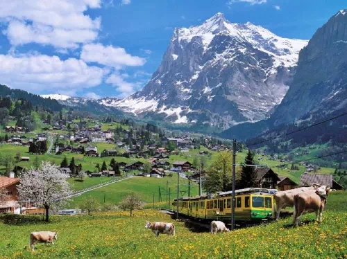 Grindelwald and Interlaken Mountain Resorts Day-Trip from Zurich