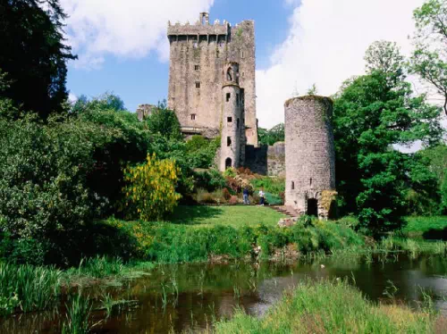 Ireland Blarney Castle and Cork Full Day Tour from Dublin