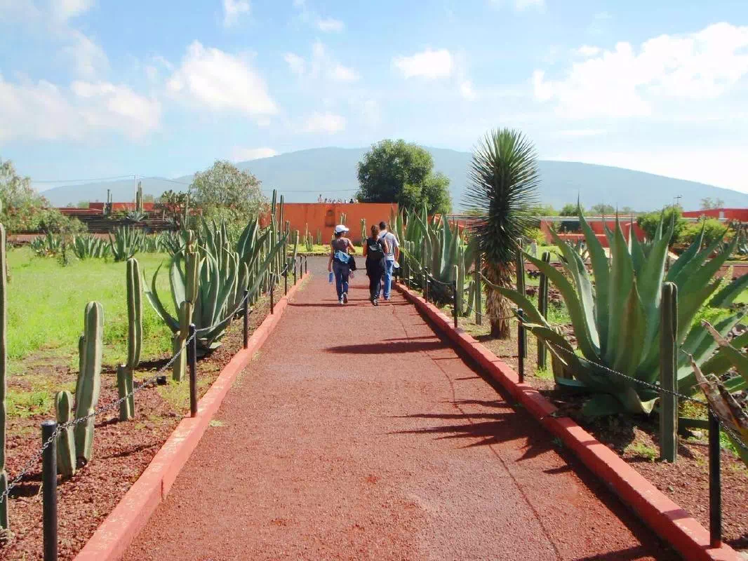 Full Day Teotihuacan Pyramids Guided Tour with Dinner
