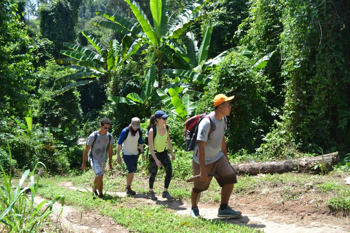 Northern Thailand Mountain Hike and Full Day Jungle Trek from Chiang Mai