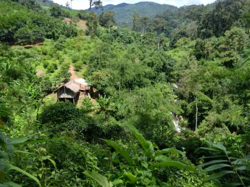 Northern Thailand Mountain Hike and Full Day Jungle Trek from Chiang Mai