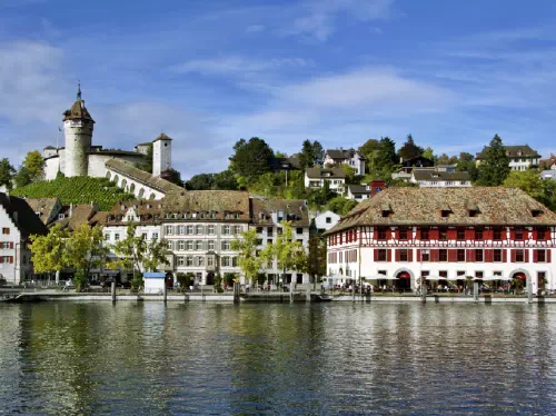 Rhine Falls and Stein am Rhein Afternoon Tour from Zurich