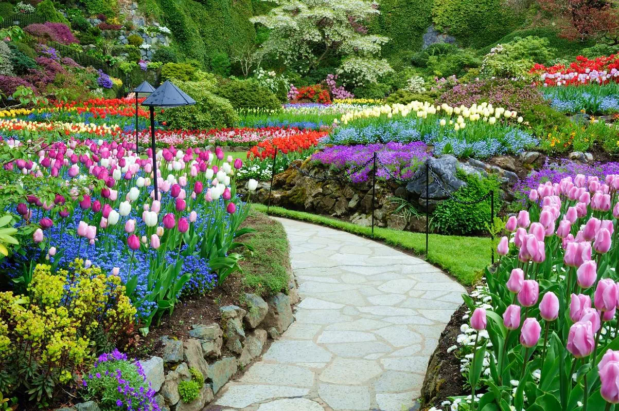 Butchart Gardens Half Day Tour from Victoria