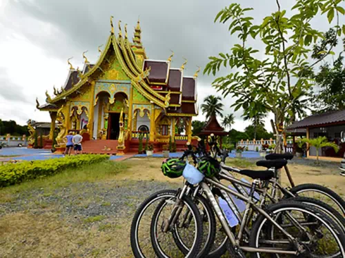 Chiang Mai Full Day Bike Tour and Zipline Adventure with Lunch