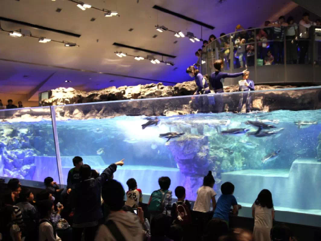 TOKYO SKYTREE® and Sumida Aquarium Entry Tickets