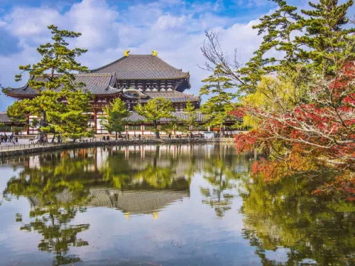 Tokyo to Kyoto & Nara 2-Day Tour with Kiyomizu-dera and Nara Deer Park
