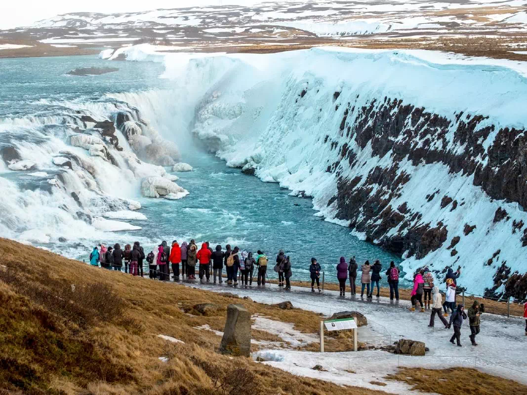 Golden Circle Full Day Tour from Reykjavik with Fridheimar Farm Visit