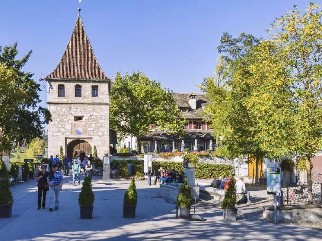 SUPER SAVER: Zurich City Guided Tour with Rhine Falls and Cogwheel Train Ride